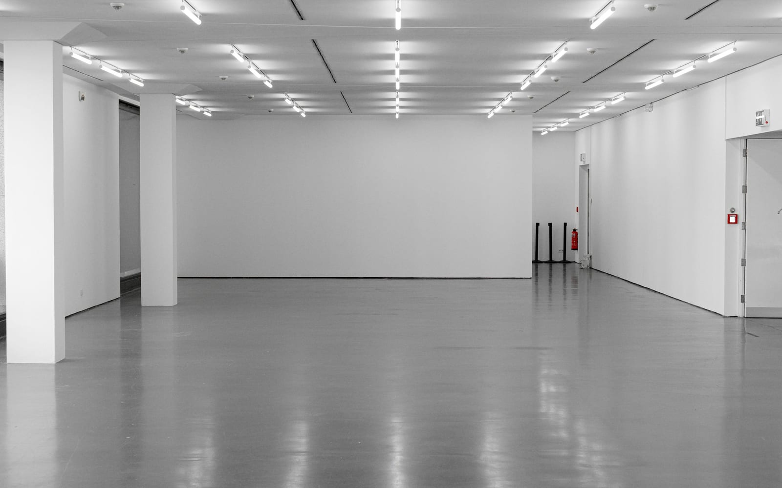 Bright, airy modern gallery interior with a reflective polished concrete floor.